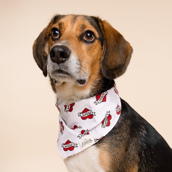 The Paws Love Mom Dog Bandana