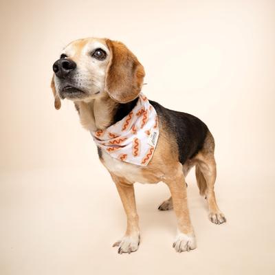 Show full view: The Paws Sizzle Dog Bandana, Red, Large slide 3 of 8