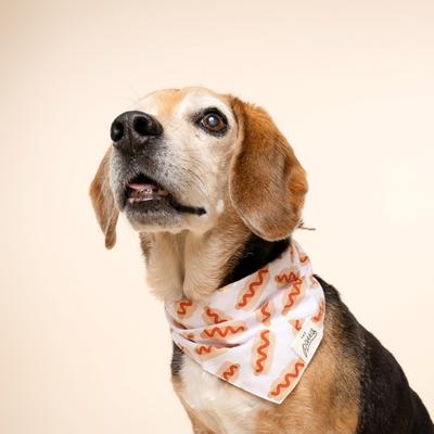 Show full view: The Paws Sizzle Dog Bandana, Red, Large slide 2 of 8