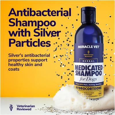 Show full view: Miracle Vet Medicated Dog Shampoo for Antibacterial Itchy Skin, Yeast Infection, Hot Spot & Allergy Relief with Hydrocortisone, 16-fl oz bottle slide 5 of 10