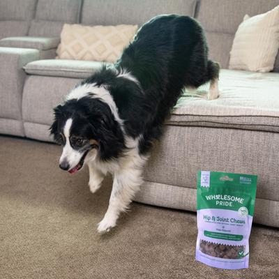 Show full view: Wholesome Pride Pet Treats Mobility Bites Chicken Flavor Hip & Joint Chew Supplement for Dogs, 7.9-oz bag slide 7 of 11