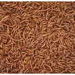 Show in main carousel: Henny Penny Mealworms Chicken Treat, 10-oz bag slide 2 of 3