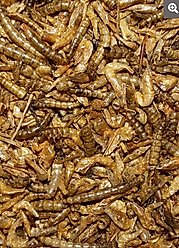 Henny Penny Shrimp & Mealworm Gourmet Chicken Treat, 1.25-lb bag slide 2 of 2