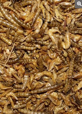 Show full view: Henny Penny Shrimp & Mealworm Gourmet Chicken Treat, 1.25-lb bag slide 2 of 2