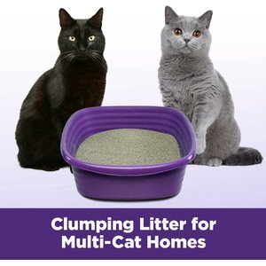 Arm & Hammer Litter Slide Multi-Cat Scented Clumping Clay Cat Litter, 38-lb box