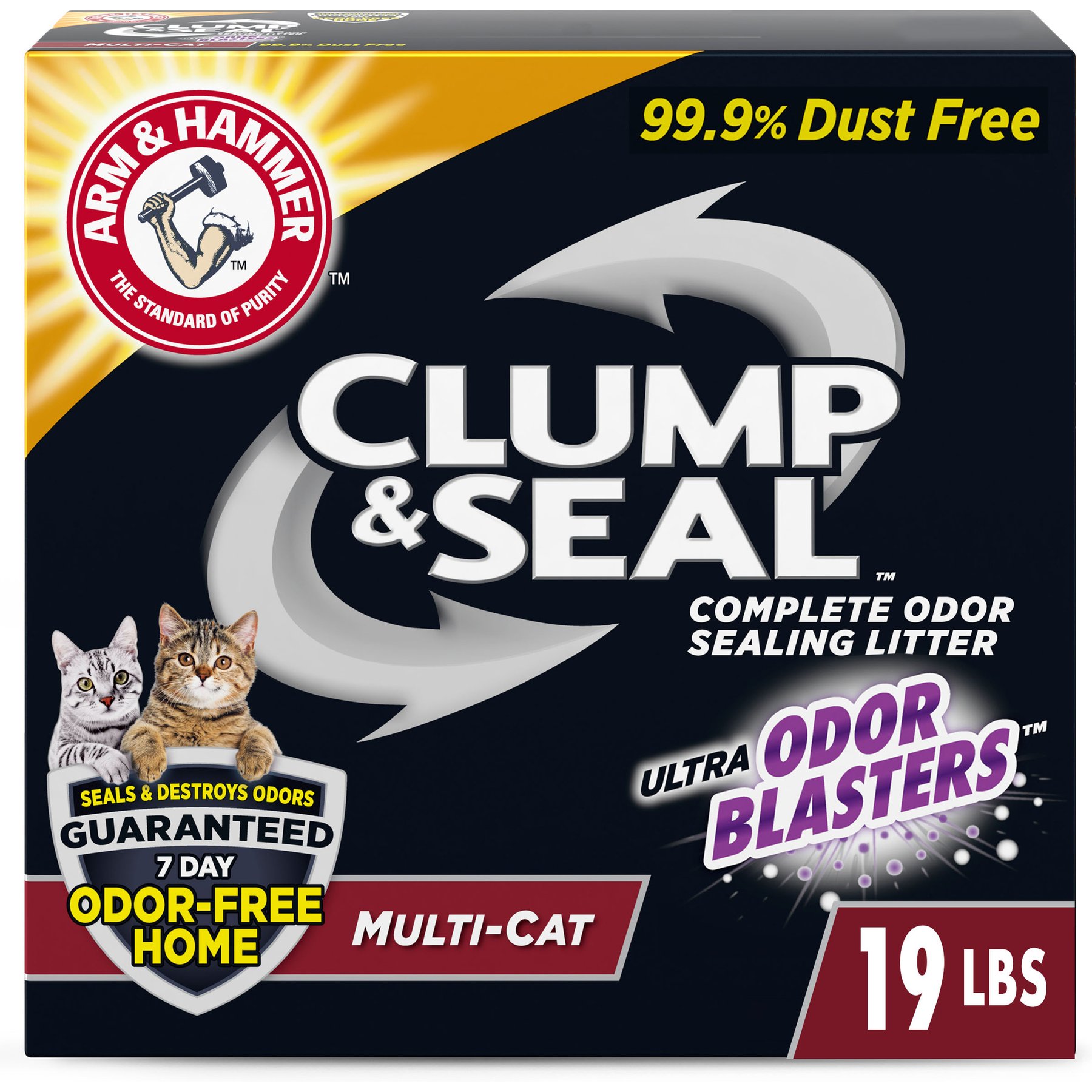 Arm & Hammer Litter Clump & Seal Multi-Cat Scented Clumping Clay Cat Litter, 19-lb box