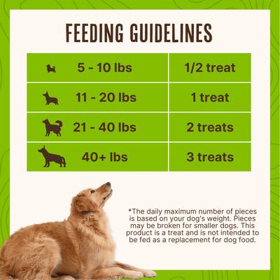 Show full view: Waggin' Train Chicken Jerky Tenders Limited Ingredient High-Protein Dog Treats, 36-oz bag slide 6 of 7