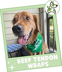 Nature Gnaws Beef Tendon Wraps Dog Chew Treats, 5 count slide 2 of 7