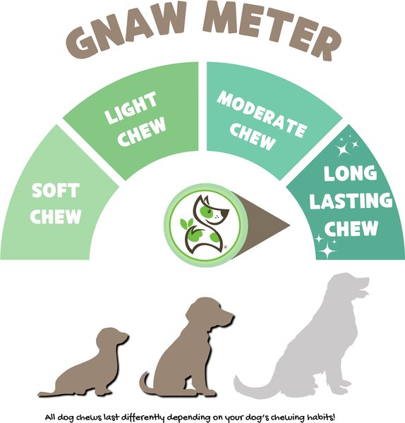 Nature Gnaws Beef Tendon Wraps Dog Chew Treats, 5 count
