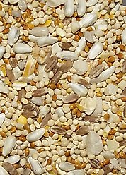 Henny Penny Chicken Treat, 8-lb bag slide 2 of 2