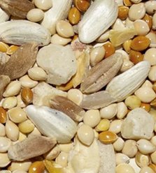 Henny Penny Chicken Treat, 15-lb bag slide 2 of 2