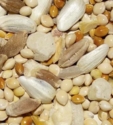 Show full view: Henny Penny Chicken Treat, 15-lb bag slide 2 of 2