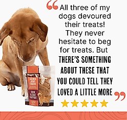 Waggin' Train Salmon Jerky Tenders Grain-Free High-Protein Dog Treats, 36-oz bag slide 2 of 6