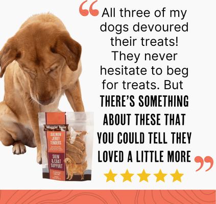 Show full view: Waggin' Train Salmon Jerky Tenders Grain-Free High-Protein Dog Treats, 36-oz bag slide 7 of 8