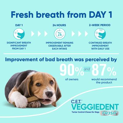 Show full view: Virbac C.E.T. VeggieDent Fr3sh Dental Chews for Large Dogs, over 66-lbs, 60 count slide 5 of 10