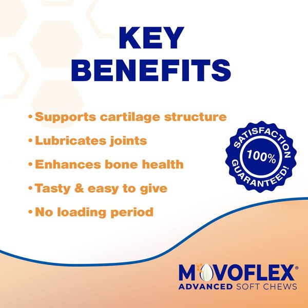 Virbac MOVOFLEX Advanced Soft Chews Joint Supplement for Small Breed Dogs, 60 count