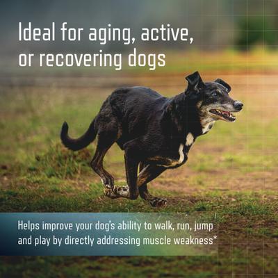 Show full view: Virbac URSOLYX Soft Chew Supplement for Medium Breed Dogs, 60 count slide 6 of 10