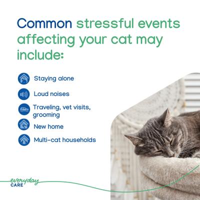 Show full view: Virbac ZENIFEL Gel Calming Diffuser for Cats, 8.1-oz jar slide 7 of 10