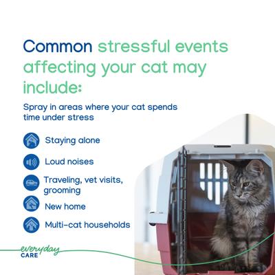 Show full view: Virbac ZENIFEL Calming Spray for Cats, 60-mL bottle slide 7 of 10