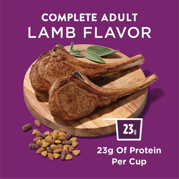 Dog Chow Complete Adult Lamb Flavor Dry Dog Food