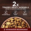 Show in main carousel: Purina ONE True Instinct with Real Salmon & Tuna Dry Dog Food, 3.8-lb bag slide 4 of 11