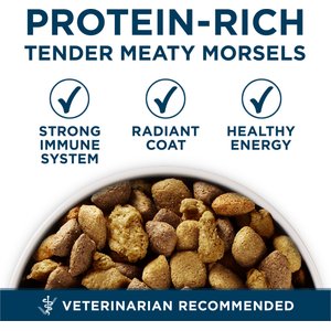 Purina ONE +Plus Natural Large Breed Adult Real Chicken Muscle & Joint Support Large Dry Dog Food, 40-lb bag