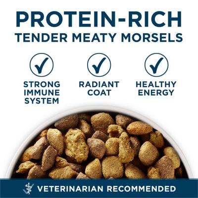 Show full view: Purina ONE +Plus Natural Large Breed Chicken Muscle & Joint Support Dry Dog Food, 31.1-lb bag slide 4 of 11