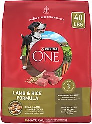 Purina ONE Natural SmartBlend Lamb & Rice Formula Dry Dog Food, 40-lb bag