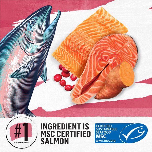 Show full view: Purina Beyond Simply Indoor Wild-Caught Salmon, Egg & Sweet Potato Recipe Grain-Free Dry Cat Food, 5-lb bag slide 5 of 12