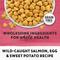 Show in main carousel: Purina Beyond Simply Indoor Wild-Caught Salmon, Egg & Sweet Potato Recipe Grain-Free Dry Cat Food, 3-lb bag slide 4 of 12