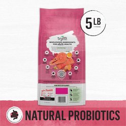 Purina Beyond Simply Indoor Wild-Caught Salmon, Egg & Sweet Potato Recipe Grain-Free Dry Cat Food, 5-lb bag slide 2 of 8