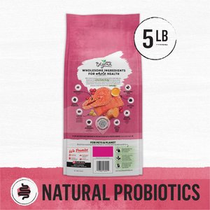 Purina Beyond Simply Indoor Wild-Caught Salmon, Egg & Sweet Potato Recipe Grain-Free Dry Cat Food, 5-lb bag