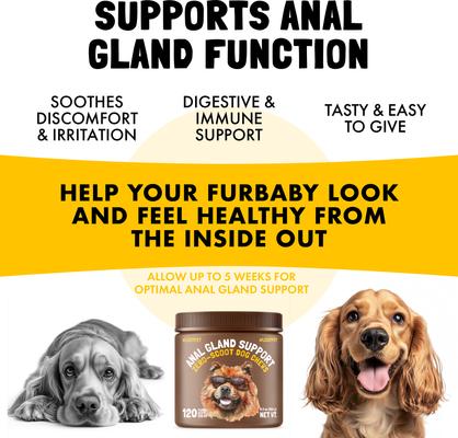 Show full view: Legitpet Anal Gland Support Chews Supplement for Dogs, 120 count slide 3 of 9