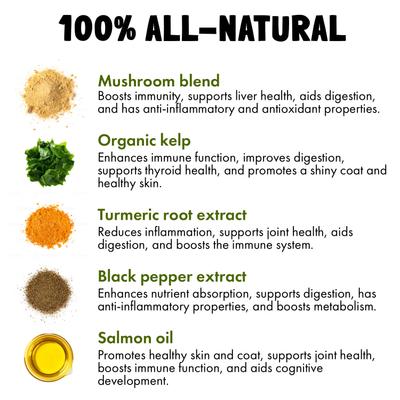 Show full view: Legitpet Mushroom Complex Chews Supplement for Dogs, 30 count slide 6 of 9