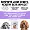 Show in main carousel: Legitpet Collagen Dog Chews Joint Supplement for Dogs, 30 count slide 3 of 9
