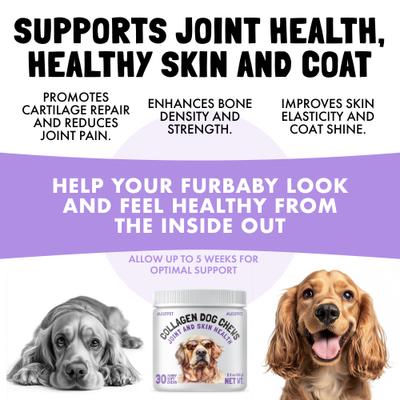 Show full view: Legitpet Collagen Dog Chews Joint Supplement for Dogs, 30 count slide 3 of 9
