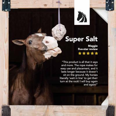 Show full view: Redmond Rock on a Rope Mineral Supplement for Farm Animals, 4-lb slide 3 of 5
