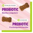 Show in main carousel: Pet Naturals Daily Probiotic Dog Chews, 160 count slide 4 of 11