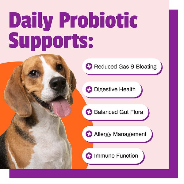 Show full view: Pet Naturals Daily Probiotic Dog Chews, 160 count slide 5 of 11