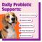 Show in main carousel: Pet Naturals Daily Probiotic Dog Chews, 160 count slide 6 of 12