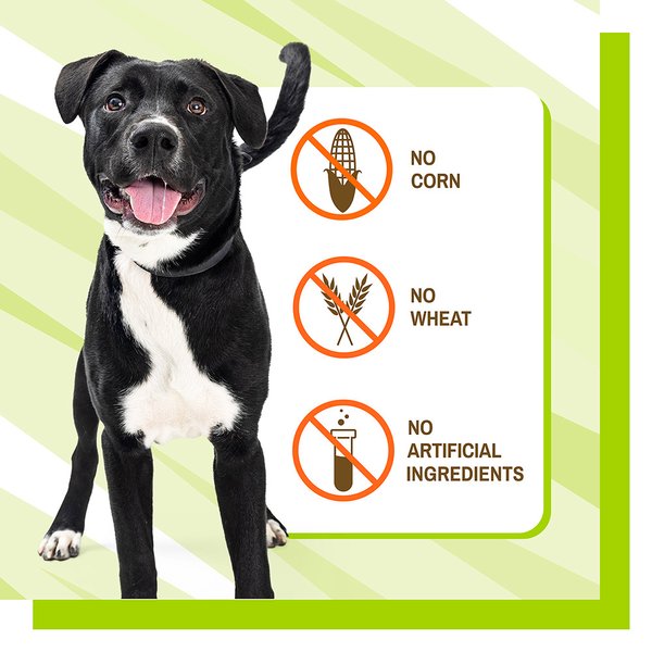 Show full view: Pet Naturals Daily Probiotic Dog Chews, 160 count slide 7 of 11