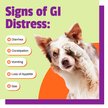 Show in main carousel: Pet Naturals Daily Probiotic Dog Chews, 160 count slide 3 of 11