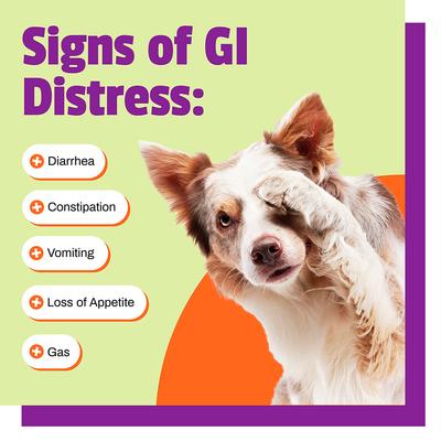 Show full view: Pet Naturals Daily Probiotic Dog Chews, 160 count slide 4 of 12