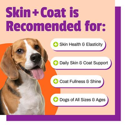 Show full view: Pet Naturals Skin + Coat Dog Chews, 30 count slide 6 of 11