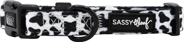 Show full view: Sassy Woof Whole Milk Dog Collar, Small: 13-in neck, 1/2-in wide slide 3 of 5