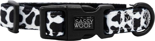 Show full view: Sassy Woof Whole Milk Dog Collar, Small: 13-in neck, 1/2-in wide slide 2 of 5