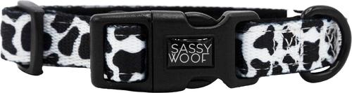 Show full view: Sassy Woof Whole Milk Dog Collar, Medium: 19.7-in neck, 3/4-in wide slide 2 of 5