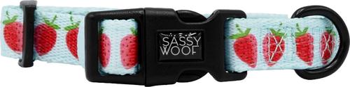 Show full view: Sassy Woof I Woof You Berry Much Dog Collar, Medium: 19.7-in neck, 3/4-in wide slide 3 of 7