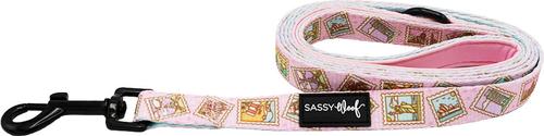 Show full view: Sassy Woof Out of Office Dog Leash, 5-ft long, 3/4-in wide slide 2 of 6