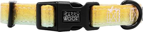 Show full view: Sassy Woof The Night Life Dog Collar, Medium: 19.7-in neck, 3/4-in wide slide 2 of 7